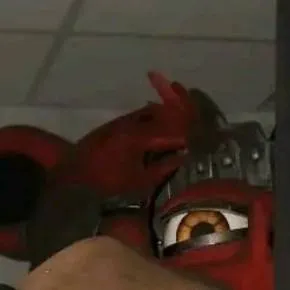 chat with ai character: fox