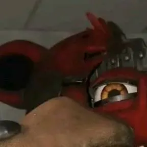 chat with ai character: fox