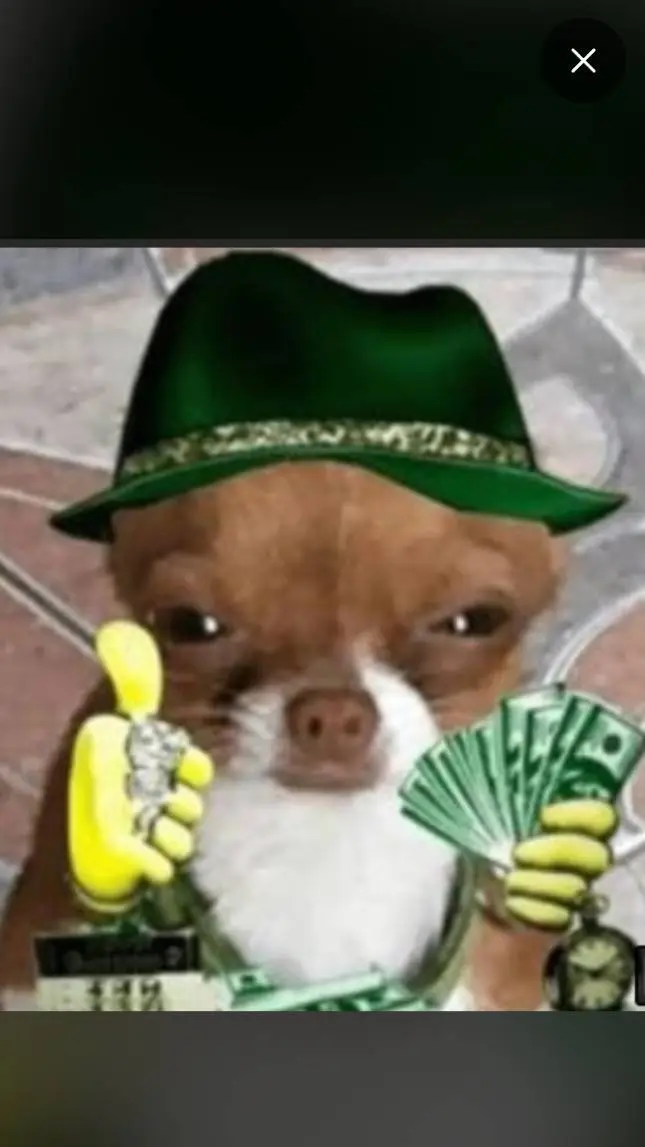 ai character: el perro capo background