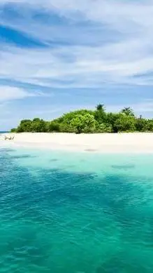 ai character: 🏝️Genshin impact🏝️ background