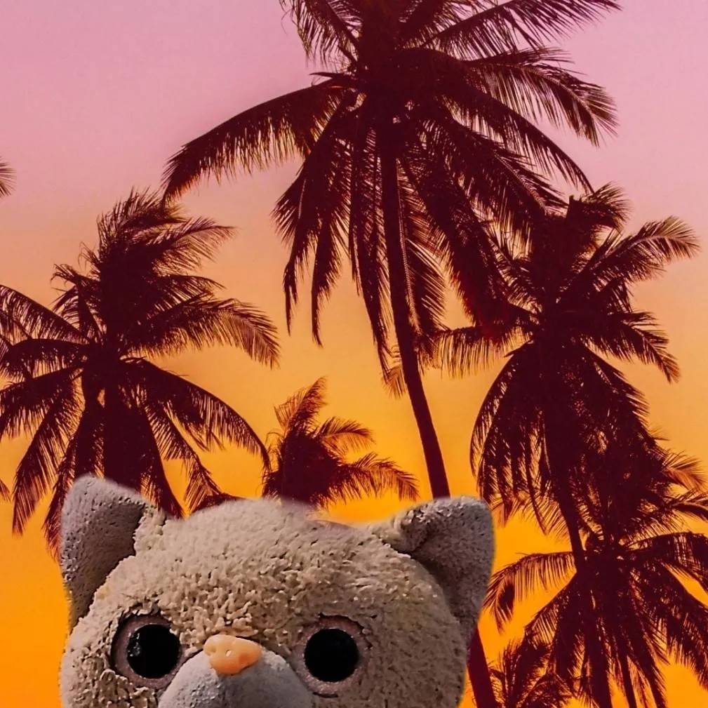 chat with ai character: Gato Paia:(