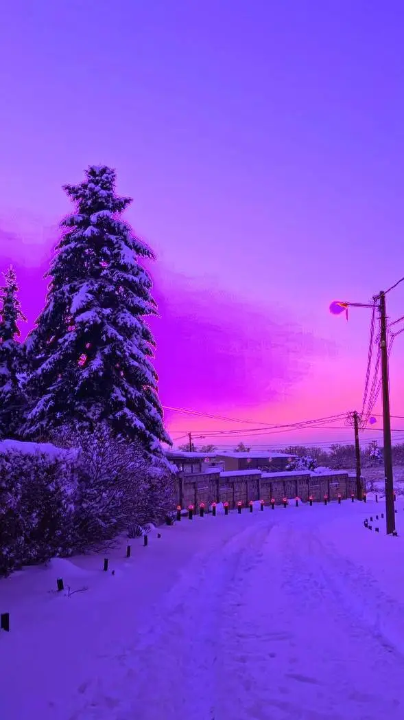 ai character: mha neige background