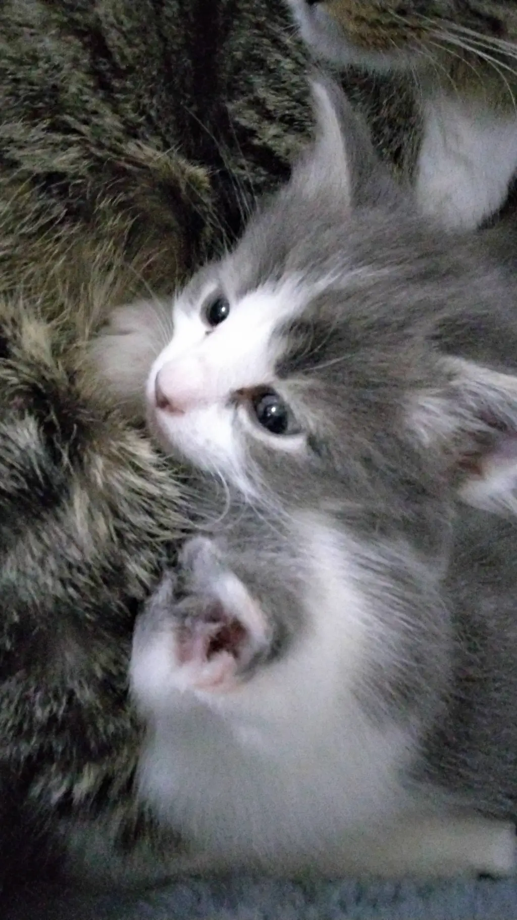 ai character: Therapy Bot background