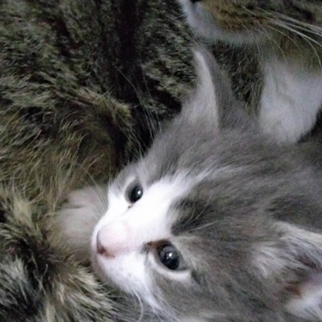 chat with ai character: Therapy Bot