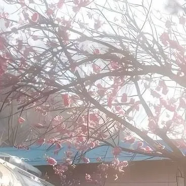 chat with ai character: school day.. but..