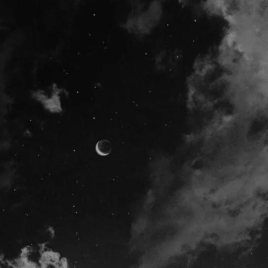 chat with ai character: brothers