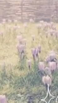 ai character: DW PICK ME >:( background