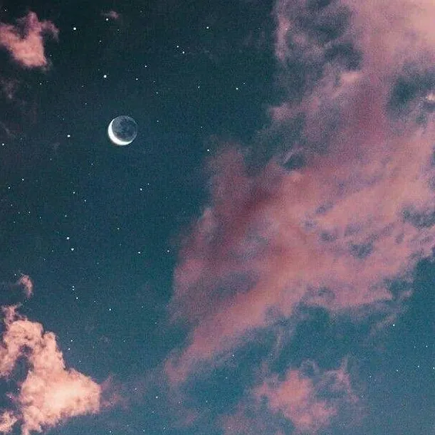 chat with ai character: 𓆩💫𓆪 DW STARGAZING✨