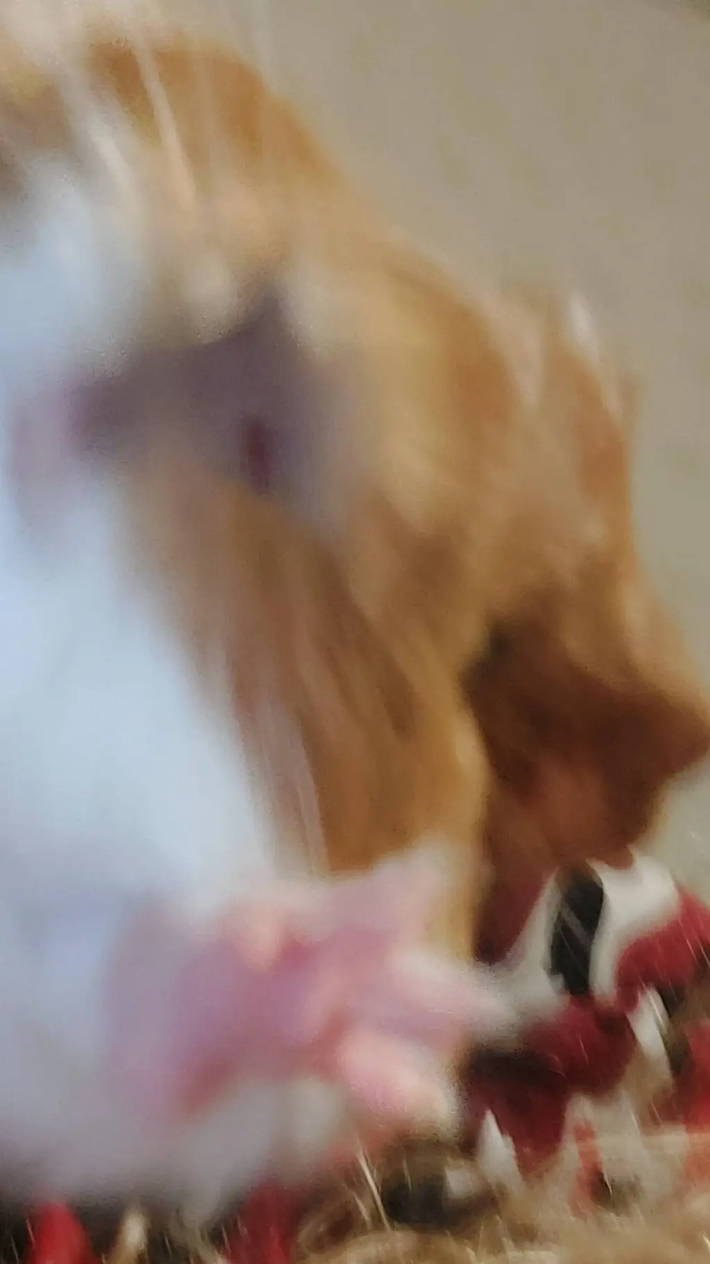 ai character: kevin |guinea pig  background