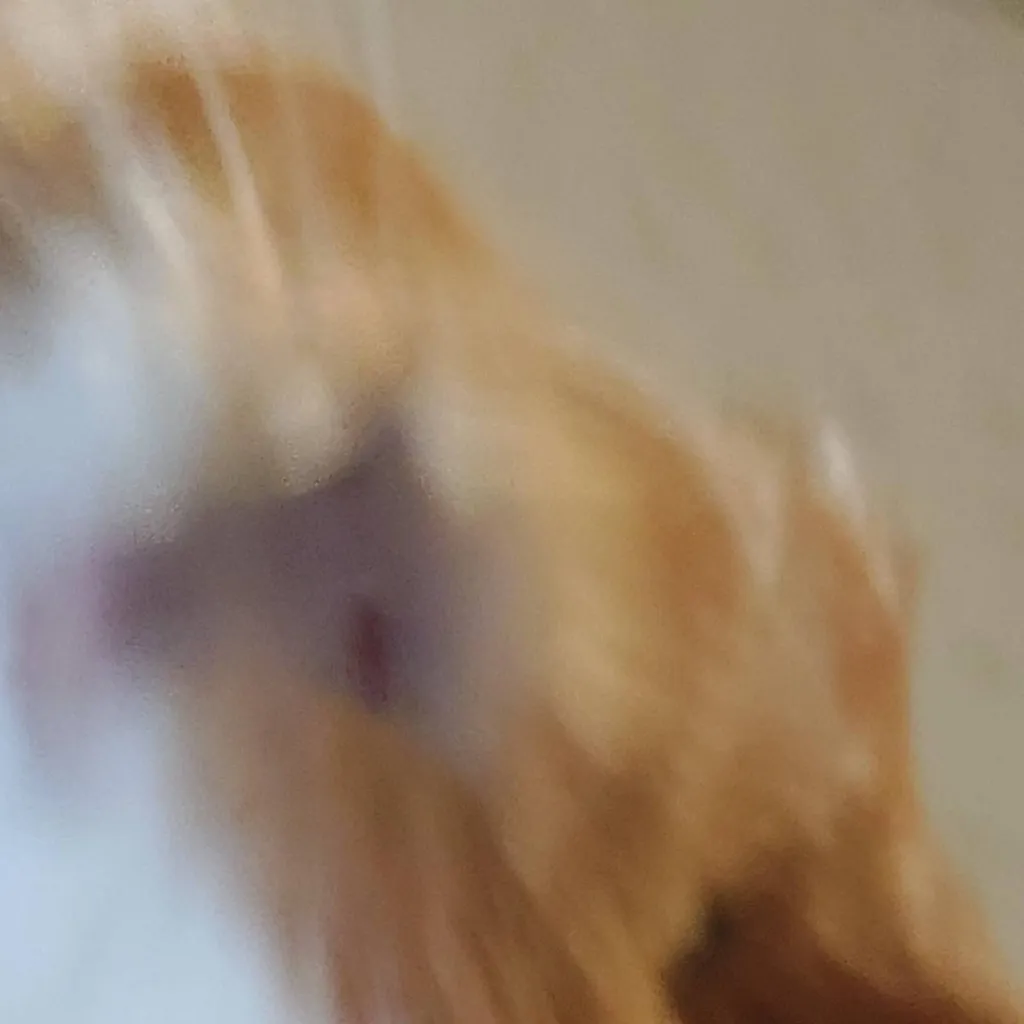 chat with ai character: kevin |guinea pig 