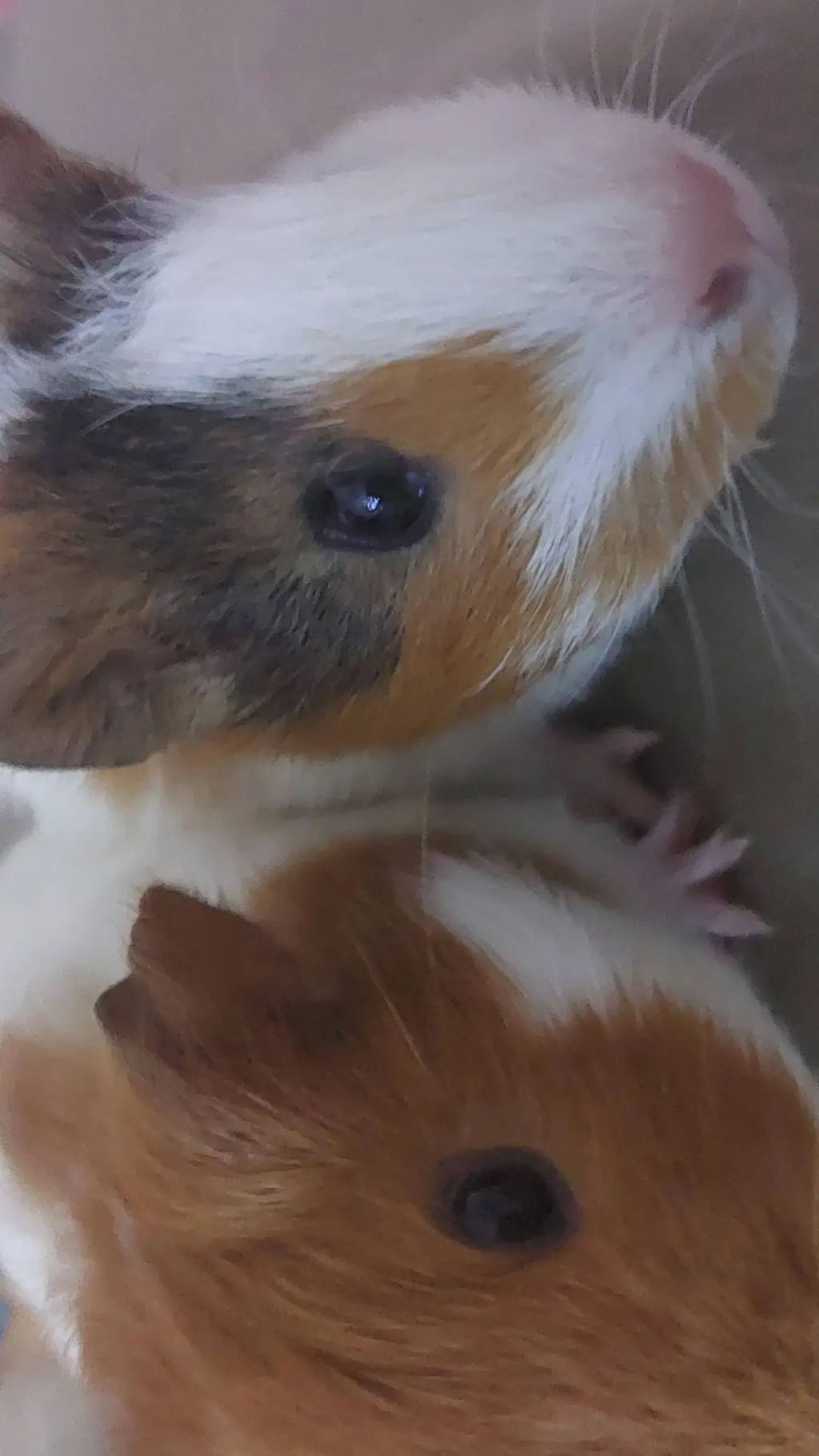 ai character: kevin and nobiran background