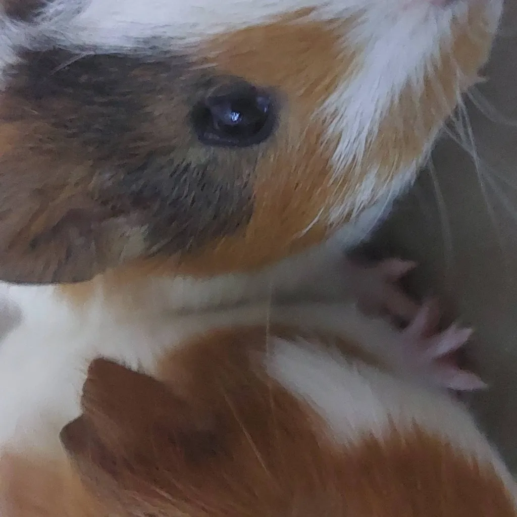 chat with ai character: kevin and nobiran