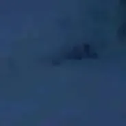 chat with ai character: bully