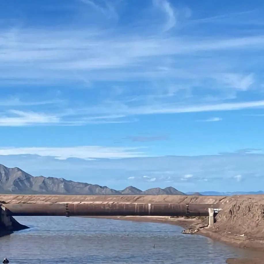 chat with ai character: Xiaro