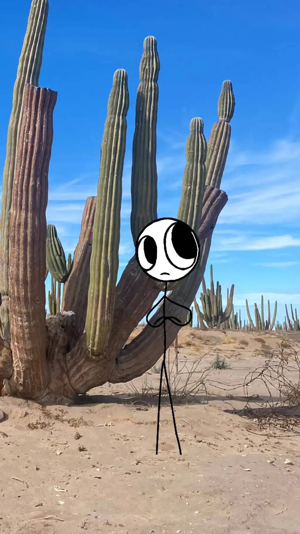 ai character: Xiaro background