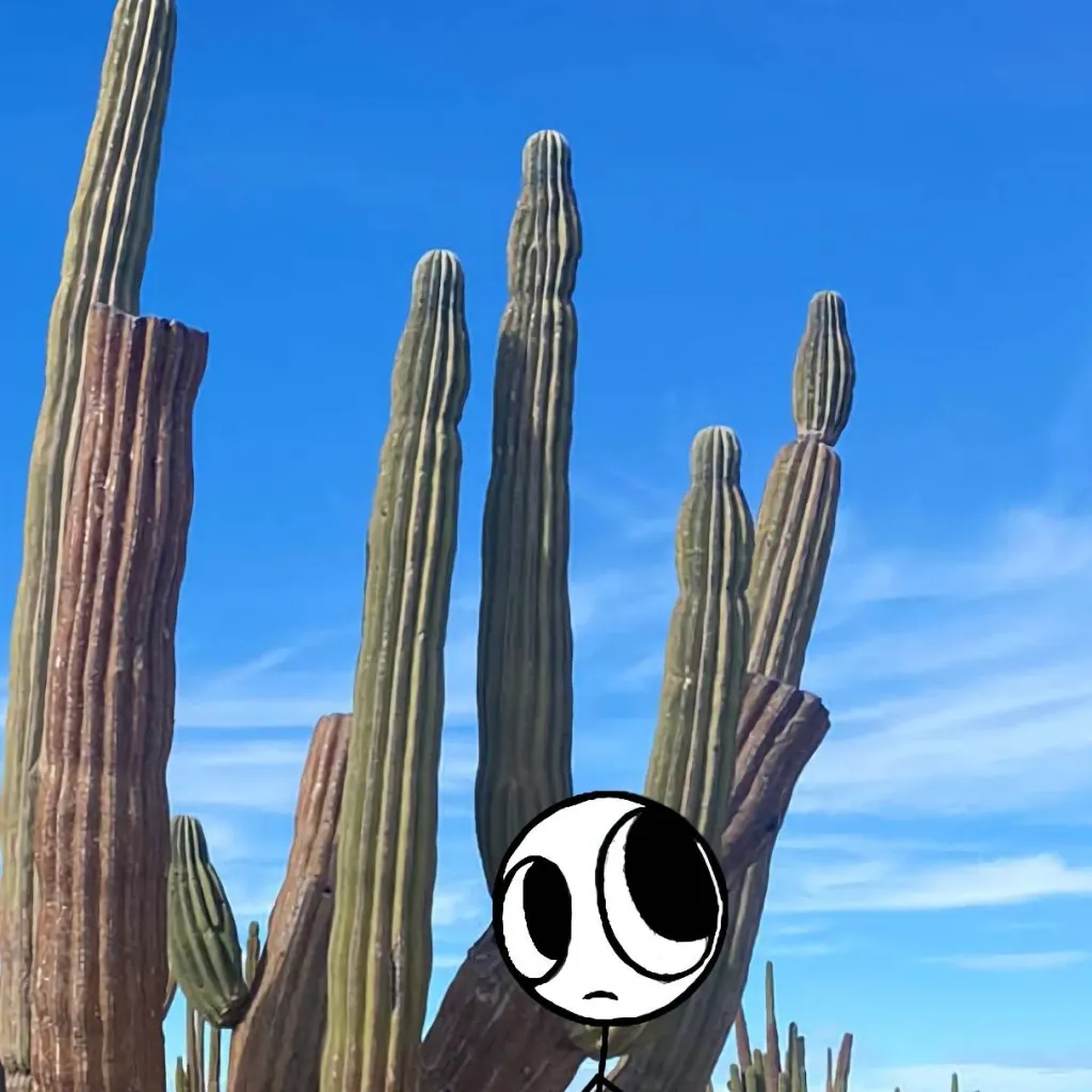 chat with ai character: Xiaro