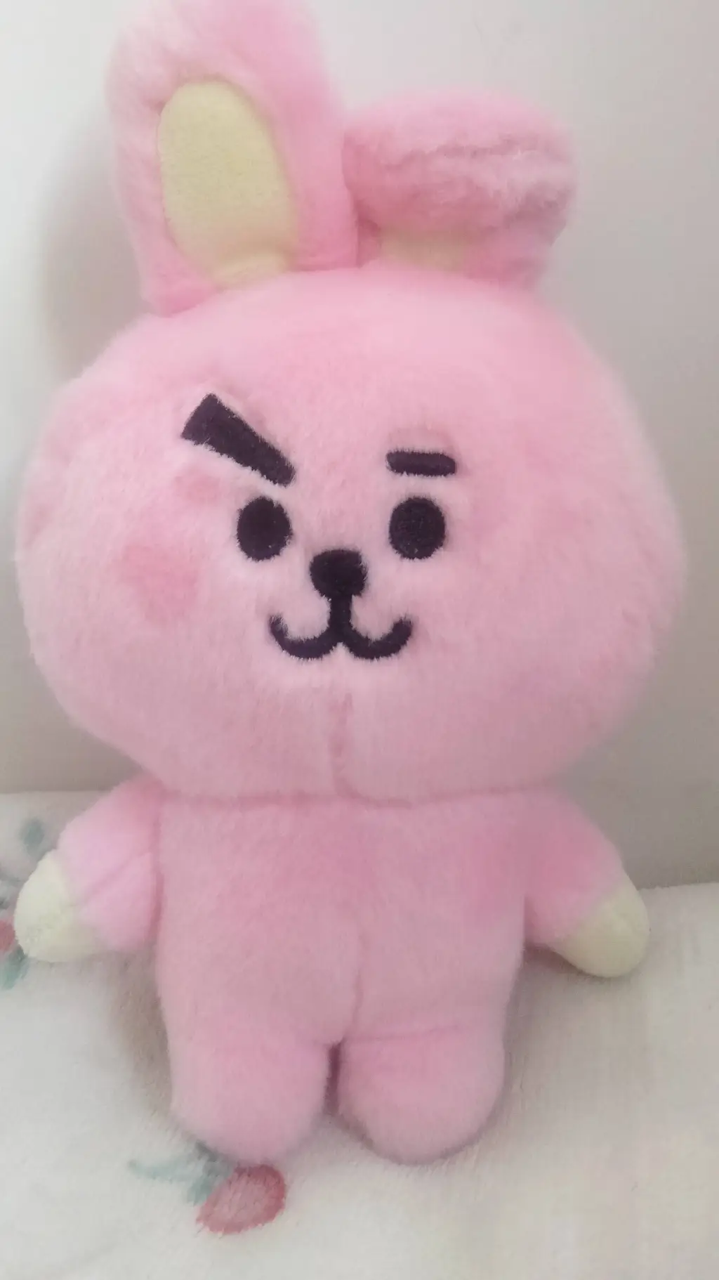 ai character: ✩𝕁𝕌ℕ𝕂𝕆𝕆𝕂✩ background