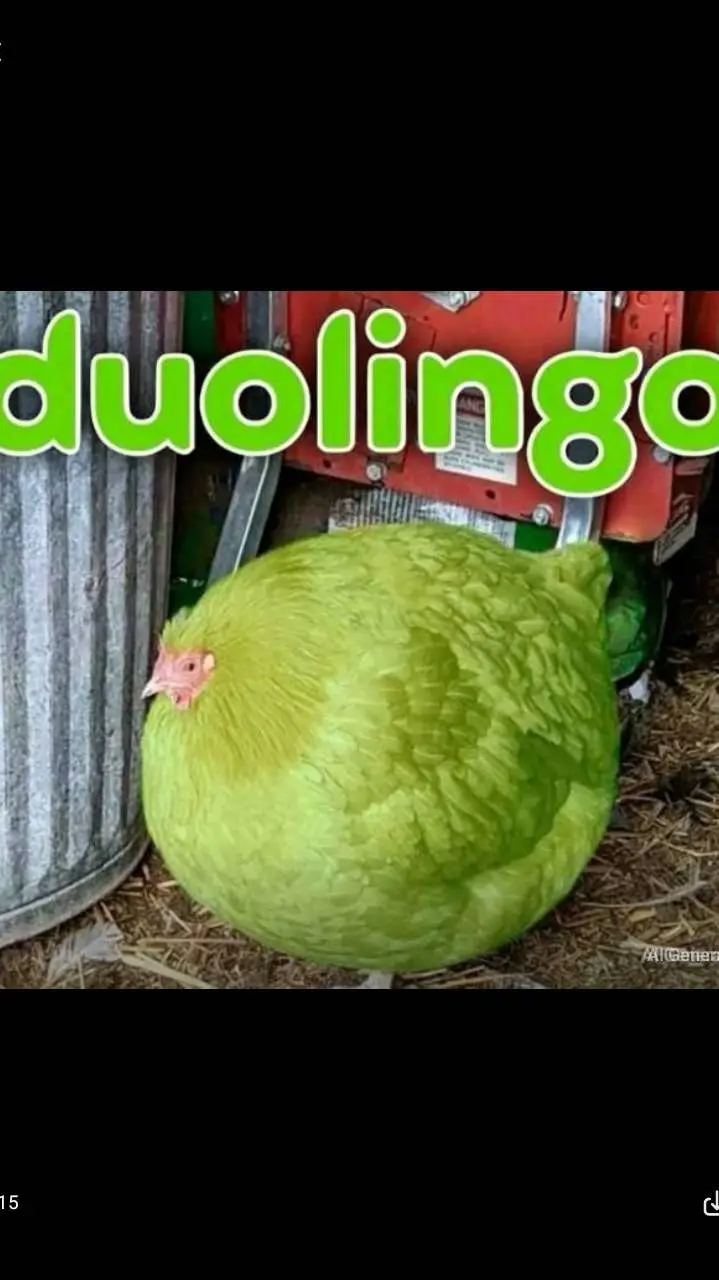 ai character: Duolingo/From Temu background