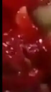 ai character: gorecenter.com background