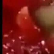 chat with ai character: gorecenter.com