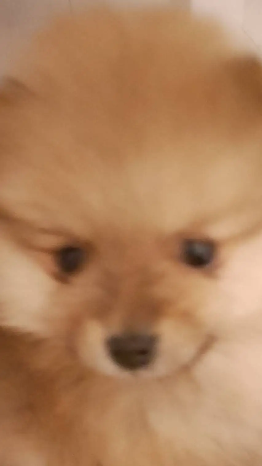 ai character: gucci background