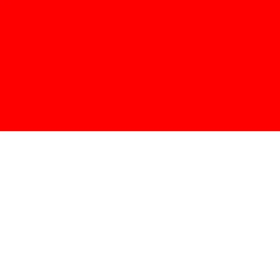 chat with ai character: indonesia