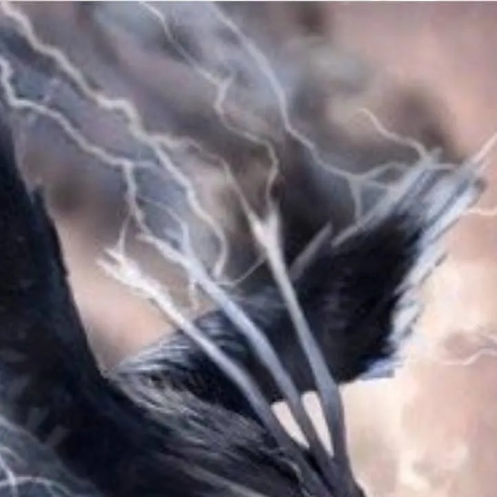 chat with ai character: 💙🖤THUNDER BIRD🖤💙