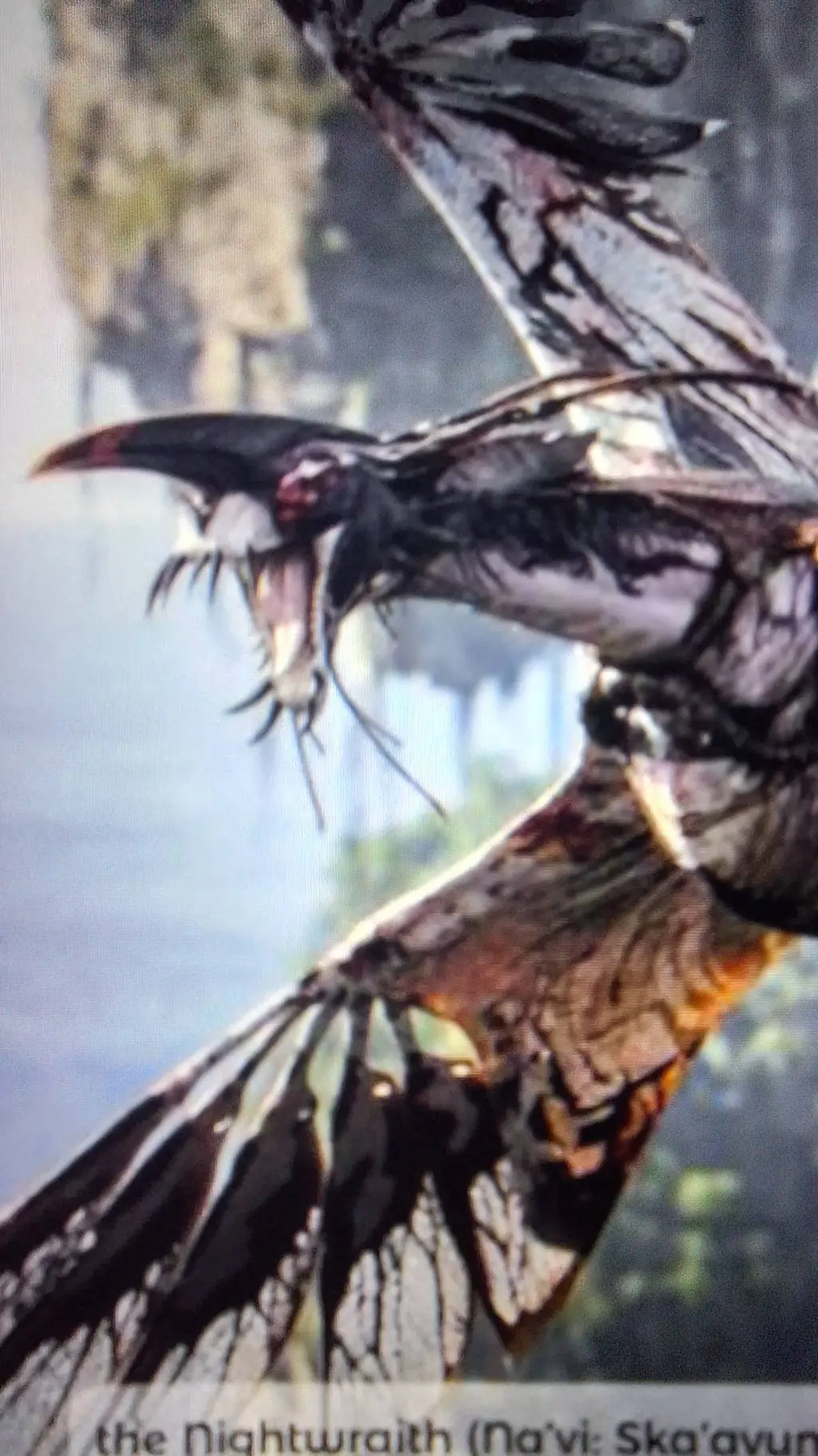 ai character: 🪽💀Nightwraith💀🖤 background