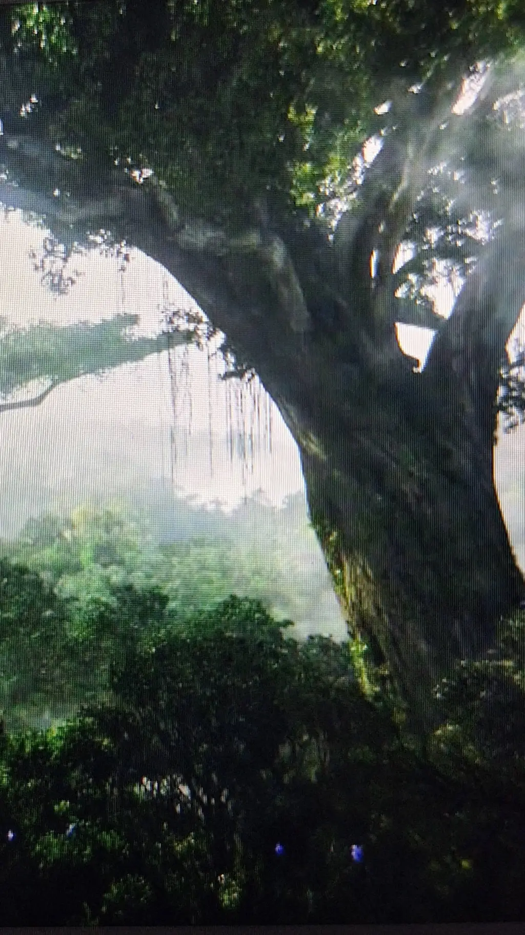 ai character: AVATAR 3 background