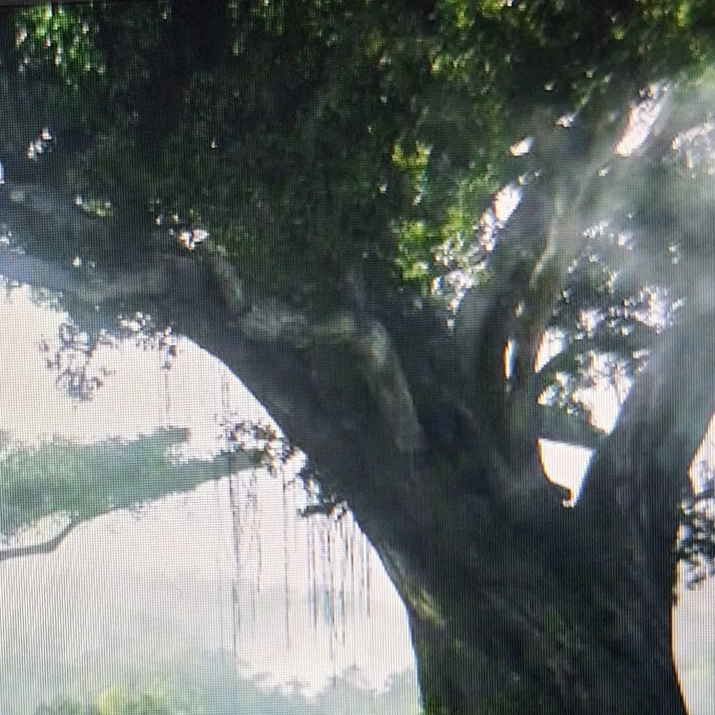 chat with ai character: AVATAR 3