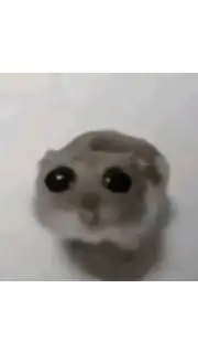 ai character: lilttle bro background