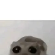 chat with ai character: lilttle bro