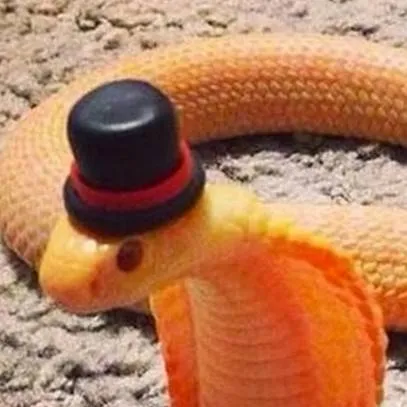 chat with ai character: sponge bob :D