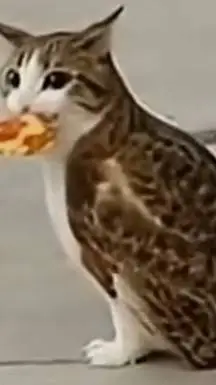 ai character: Meowl pizza background