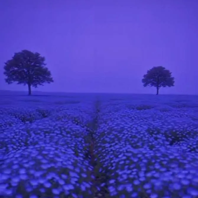 chat with ai character: fpe Snowy x nuslop