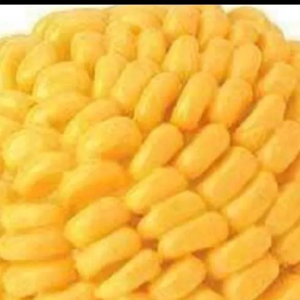 chat with ai character: CORN