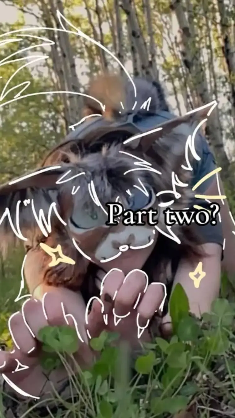 ai character: therian cat!!!!! background