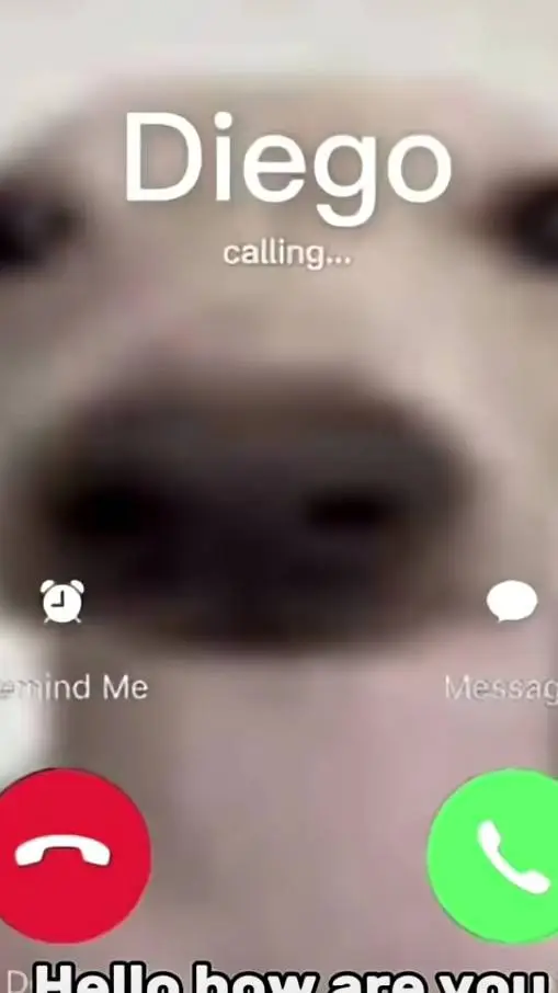Talkie AI - Chat with Diego is calling