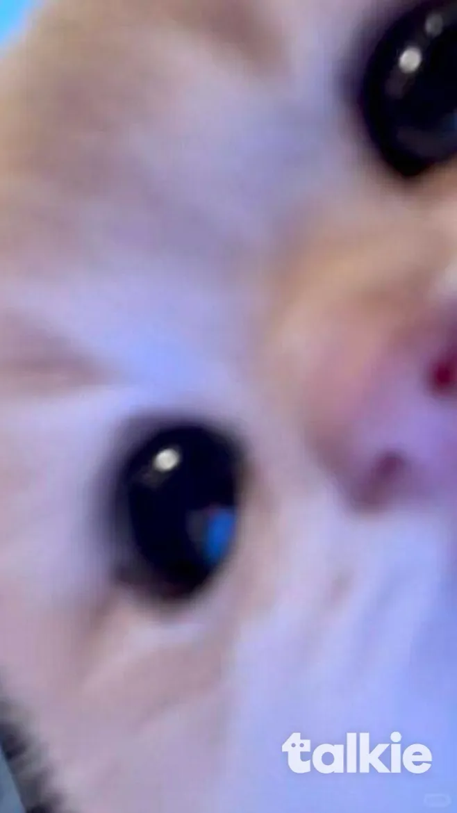 ai character: DW background