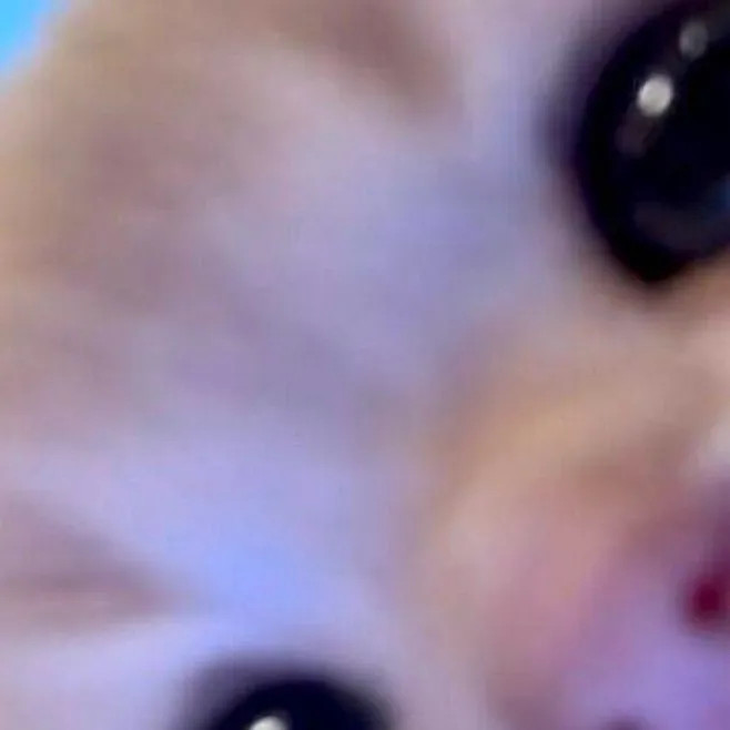 chat with ai character: DW