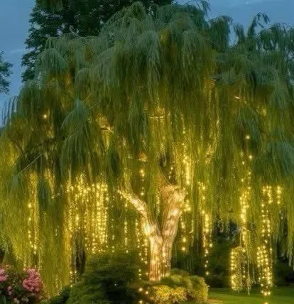 chat with ai character: Void of Liminality