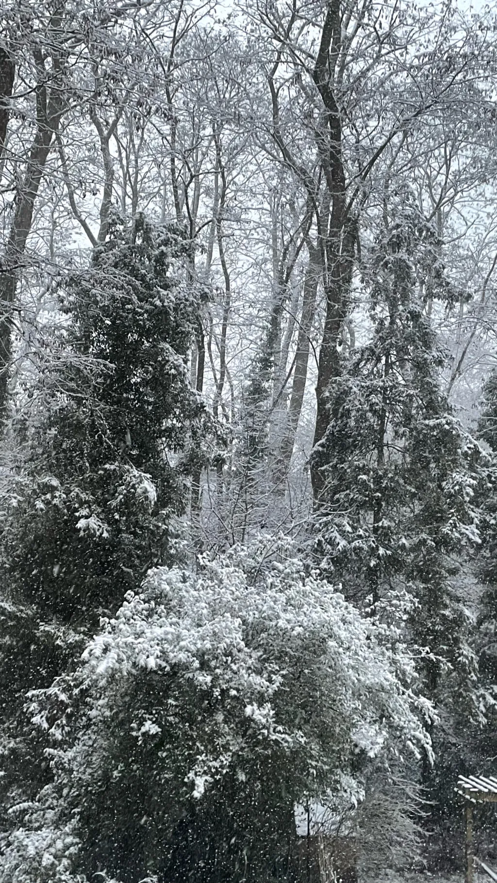 ai character: TM sleepover :3 background