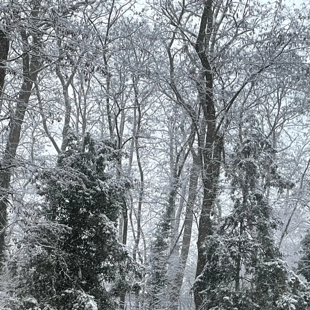 chat with ai character: TM sleepover :3