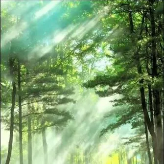 chat with ai character: More Vol 👹