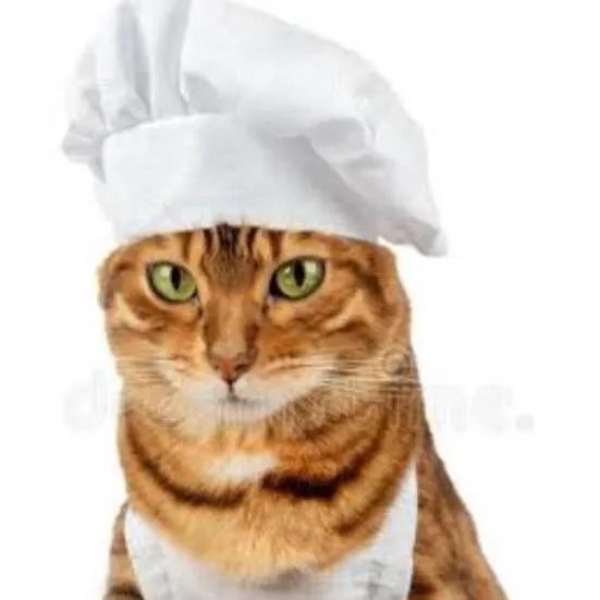 chat with ai character: gatico cocinero
