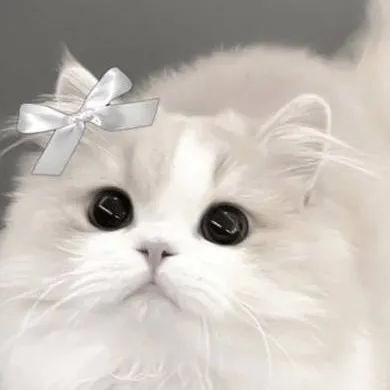 chat with ai character: Mochi