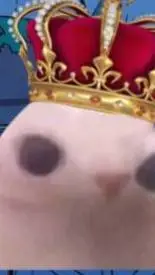 ai character: Bingle.... background