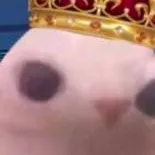 chat with ai character: Bingle....