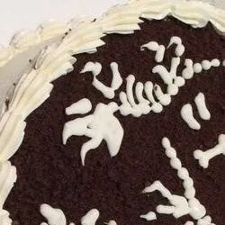 chat with ai character: Shelly's birthday!