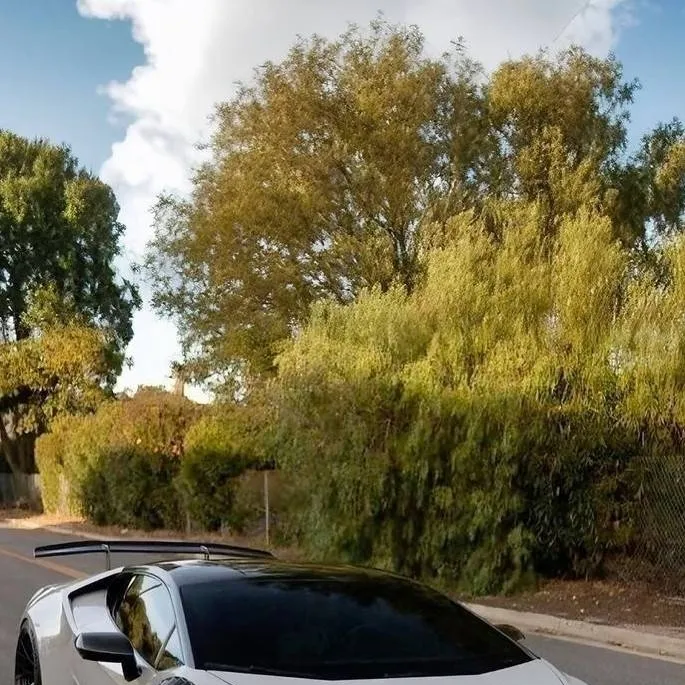 chat with ai character: Shelly's Lamborghi